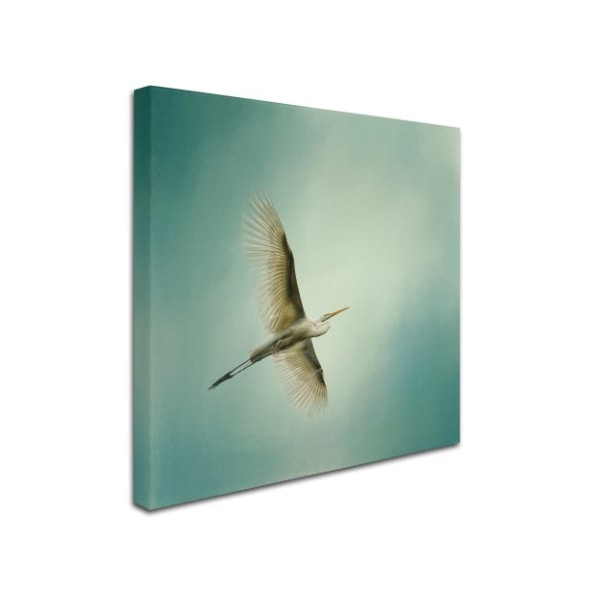 Jai Johnson 'Egret Overhead' Canvas Art,35x35